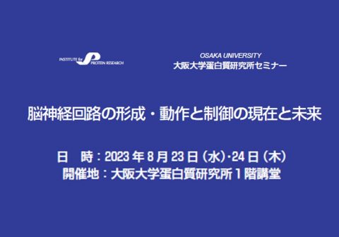 【8/23-24】蛋白研セミナー「脳神経回路の形成・動作と制御の現在と未来」