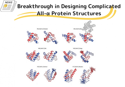 Breakthrough in designing complicated all-α protein structures