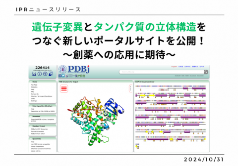 遺伝子変異とタンパク質の立体構造をつなぐ 新しいポータルサイトを公開！ ～創薬への応用に期待～